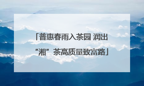 普惠春雨入茶园 润出“湘”茶高质量致富路