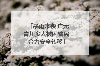 暴雨来袭 广元青川多人被困警民合力安全转移