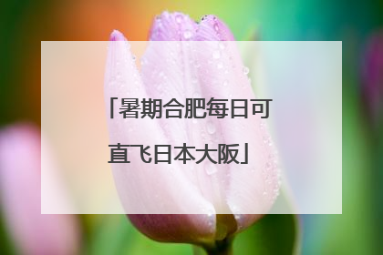 暑期合肥每日可直飞日本大阪