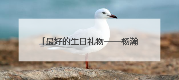 最好的生日礼物——杨瀚森第16顺位进入NBA