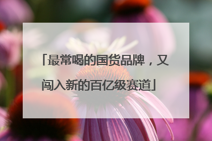 最常喝的国货品牌，又闯入新的百亿级赛道