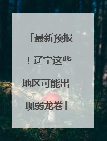 最新预报！辽宁这些地区可能出现弱龙卷