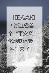 正式亮相！浙江省首个“平安文化地铁体验站”来了