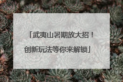 武夷山暑期放大招！创新玩法等你来解锁