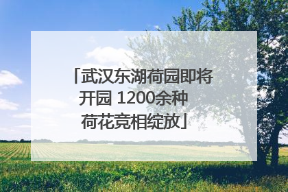 武汉东湖荷园即将开园 1200余种荷花竞相绽放