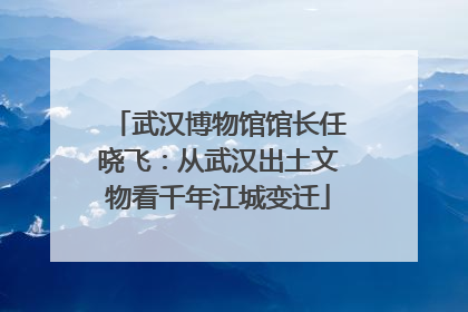 武汉博物馆馆长任晓飞：从武汉出土文物看千年江城变迁