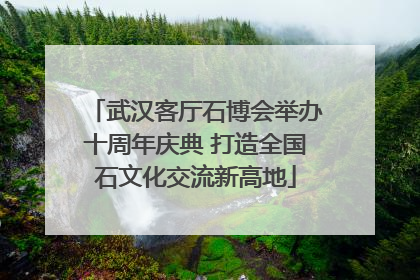 武汉客厅石博会举办十周年庆典 打造全国石文化交流新高地