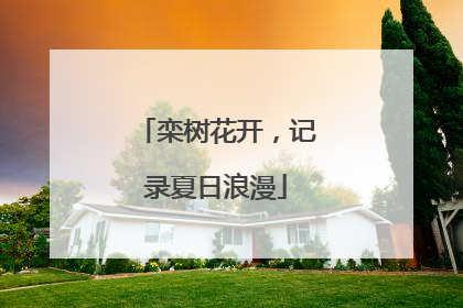 栾树花开，记录夏日浪漫