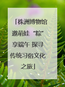 株洲博物馆邀萌娃“粽”享端午 探寻传统习俗文化之旅