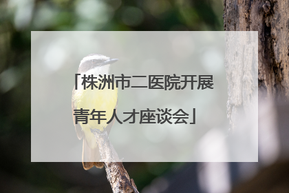 株洲市二医院开展青年人才座谈会
