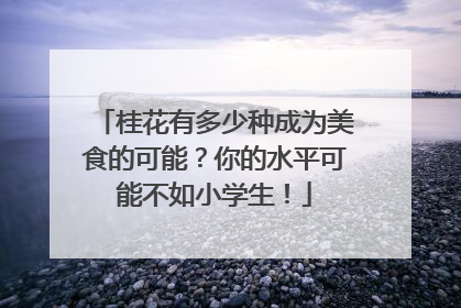 桂花有多少种成为美食的可能？你的水平可能不如小学生！