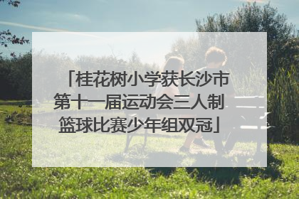 桂花树小学获长沙市第十一届运动会三人制篮球比赛少年组双冠