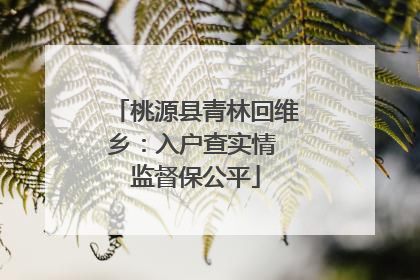 桃源县青林回维乡：入户查实情 监督保公平
