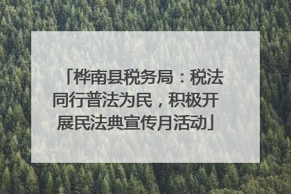 桦南县税务局：税法同行普法为民，积极开展民法典宣传月活动