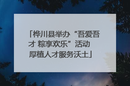 桦川县举办“吾爱吾才 粽享欢乐”活动 厚植人才服务沃土
