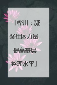 桦川：凝聚社区力量 提高基层整理水平