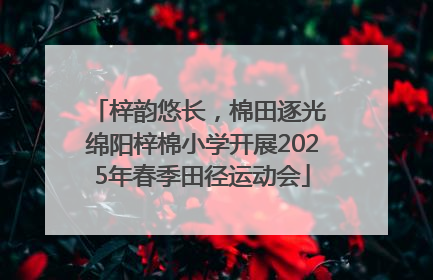 梓韵悠长，棉田逐光 绵阳梓棉小学开展2025年春季田径运动会