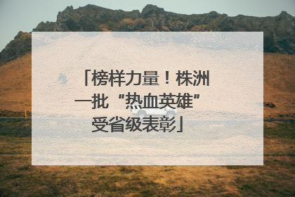 榜样力量！株洲一批“热血英雄”受省级表彰