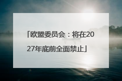 欧盟委员会：将在2027年底前全面禁止