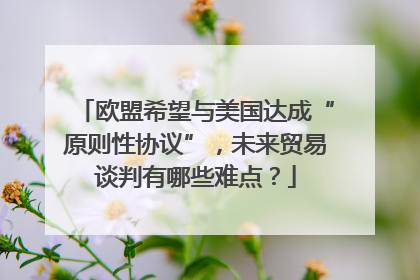 欧盟希望与美国达成“原则性协议”，未来贸易谈判有哪些难点？