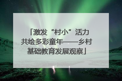 激发“村小”活力 共绘多彩童年——乡村基础教育发展观察