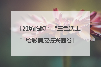 潍坊临朐：“三色沃土”绘彩铺展振兴画卷