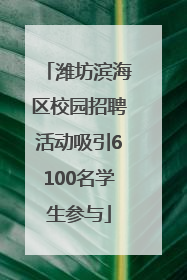 潍坊滨海区校园招聘活动吸引6100名学生参与