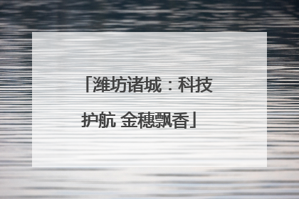 潍坊诸城：科技护航 金穗飘香