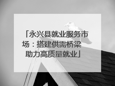 永兴县就业服务市场：搭建供需桥梁 助力高质量就业