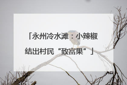 永州冷水滩：小辣椒结出村民“致富果”
