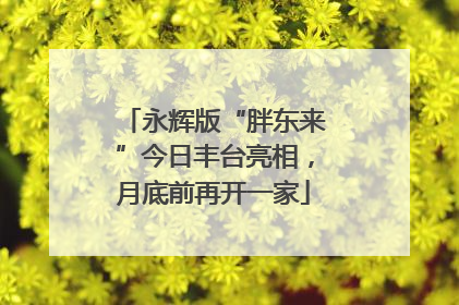 永辉版“胖东来”今日丰台亮相，月底前再开一家