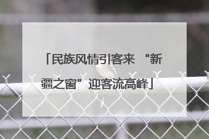 民族风情引客来 “新疆之窗”迎客流高峰