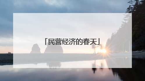 民营经济的春天