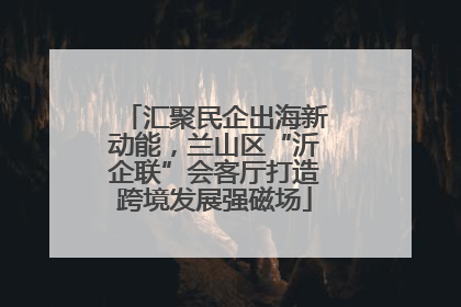 汇聚民企出海新动能，兰山区“沂企联”会客厅打造跨境发展强磁场