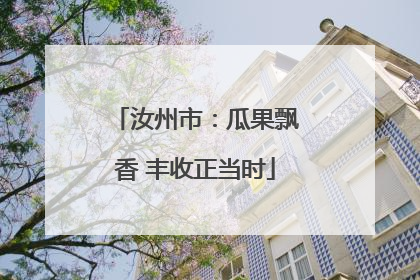 汝州市：瓜果飘香 丰收正当时