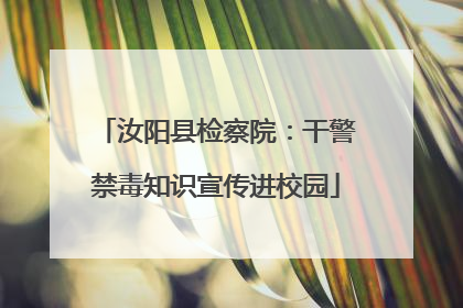 汝阳县检察院：干警禁毒知识宣传进校园