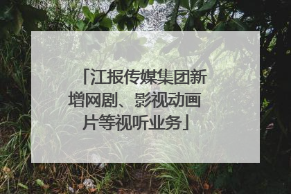 江报传媒集团新增网剧、影视动画片等视听业务
