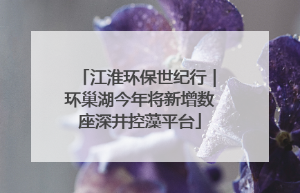 江淮环保世纪行｜环巢湖今年将新增数座深井控藻平台