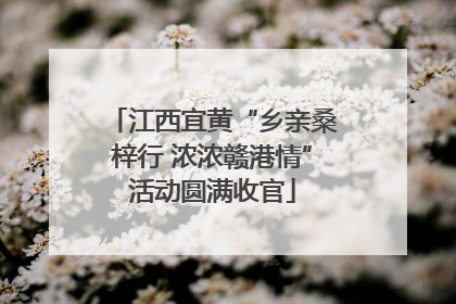 江西宜黄“乡亲桑梓行 浓浓赣港情”活动圆满收官