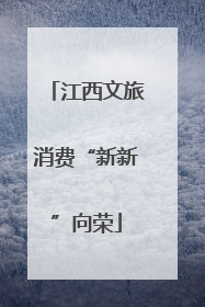 江西文旅消费“新新”向荣