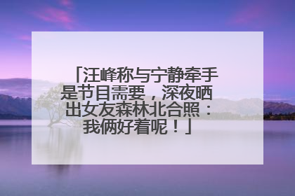 汪峰称与宁静牵手是节目需要，深夜晒出女友森林北合照：我俩好着呢！
