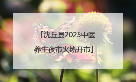 沈丘县2025中医养生夜市火热开市
