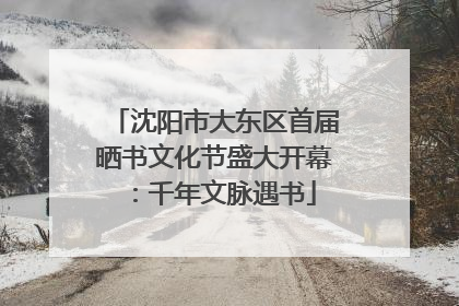 沈阳市大东区首届晒书文化节盛大开幕：千年文脉遇书