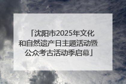 沈阳市2025年文化和自然遗产日主题活动暨公众考古活动季启幕