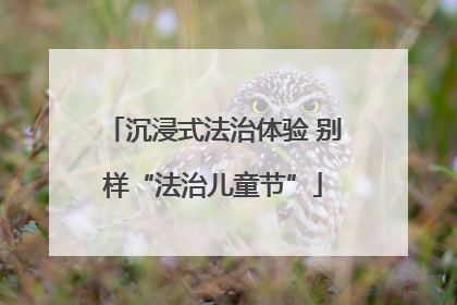 沉浸式法治体验 别样“法治儿童节”