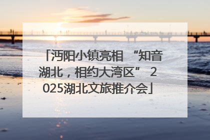 沔阳小镇亮相 “知音湖北，相约大湾区” 2025湖北文旅推介会