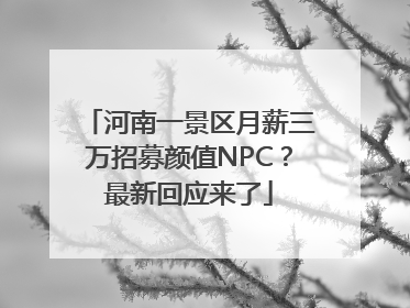 河南一景区月薪三万招募颜值NPC？最新回应来了