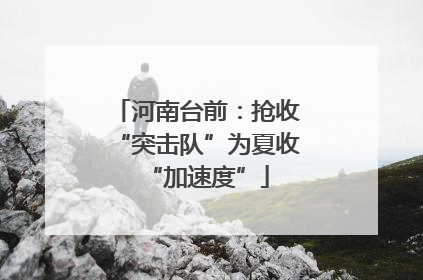 河南台前：抢收“突击队”为夏收“加速度”