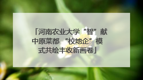 河南农业大学“智”献中原菜都 “校地企”模式共绘丰收新画卷