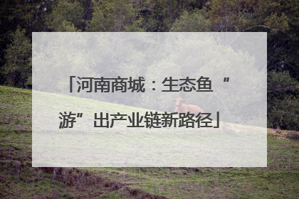 河南商城：生态鱼“游”出产业链新路径